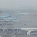 제주공항 이미지