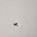 비디오월드 이미지