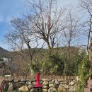 라울 도비 민박 이미지