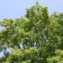 상수리공원 이미지