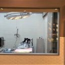 김해 동물병원 이미지