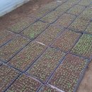 늘봄농장 이미지