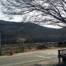 원텃골식당 이미지