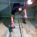 장수서창동-5 이미지