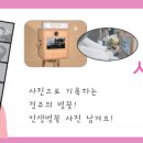 2024 경주 대릉원돌담길 벚꽃축제 이미지