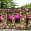 박물관공원(부평역사박물관 옆) 이미지