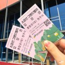 119카크리닉센타 | 원주 가볼만한곳 추천 &#39;소금산그랜드밸리&#39; 케이블카 통합권 후기(ft. 출렁다리, 울렁다리)