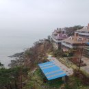 반도흑염소 농장 이미지