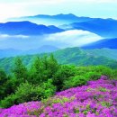 평전(여) 이미지