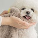 타올어때 이미지