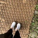 관악산 자연학습장 화장실 이미지