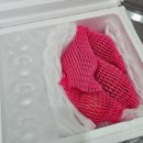 복주농장 이미지