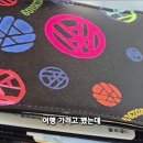 파충류샵아토리 | 도마뱀 맡길 곳 찾는다면 하남 미사 아토리! 파충류 호텔링 서비스 솔직 후기