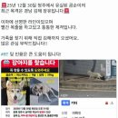 곰순이네 - 보령시 큰오랏7길 29-7 | 곰순이네