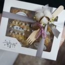 백호마미 이미지
