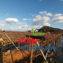 대부도 파란하늘 이미지