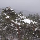 서상시장 이미지