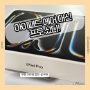 11305-11-126-1 | 아이패드 에어 대신 프로 샀다 | 2025 아이패드 프로 11 M5 256GB 쿠팡 할인 구매 후기(내돈내산)