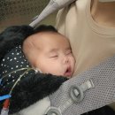 준카 | 23년12월 슬기로운 병동육아/밀린 일기 /스압주의