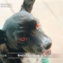 두식이펜션