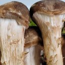 다울농장 이미지