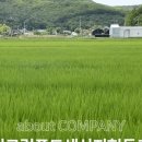 인천로컬푸드생산자협동조합 네이버블로그