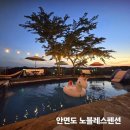 노블레스팬션 - 예산군 남은들로 68 | 친절만렙! 안면도 노블레스펜션-애견동반가능/애견1마리무료입장/대형야외수영장/미끄럼틀/타로점사무료...