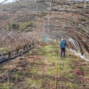 청태농장 이미지