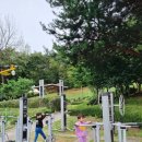 남양 유아숲체험원 이미지