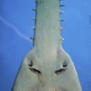 무념무상 이미지