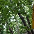 용연마을경로당 이미지