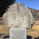 월탄 이미지