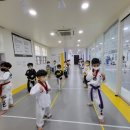 배움 태권도장 이미지