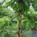 복성농장 이미지