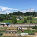 농심농장 이미지