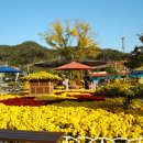 오-월드 이미지