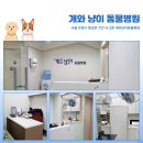 대디동물병원 이미지