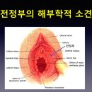 예화인여성의원 이미지