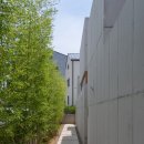 스테이 니와 이미지