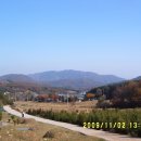 죽엽산농장 이미지