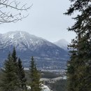 [밴프 여행] 로컬만 아는 숨은 명소, 카나나스키스 + 그라시 레이크 (Grassi lake) 완벽 정리