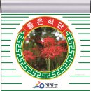 중앙로~물무로 이미지