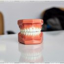 루시드치과의원 이미지