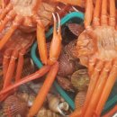 박대추민박 이미지