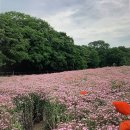 ● 지리산권의 스케일