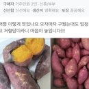 홍당구 이미지