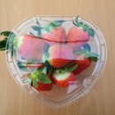 약석농장 | 경기도 당일치기 여행 겨울 딸기체험, 용문사