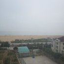 하이안 이미지