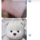 테일즈오너