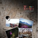 꽃향기바다소리 이미지